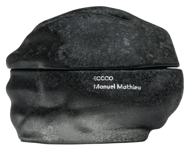 016 Manuel Mathieu ECCCO