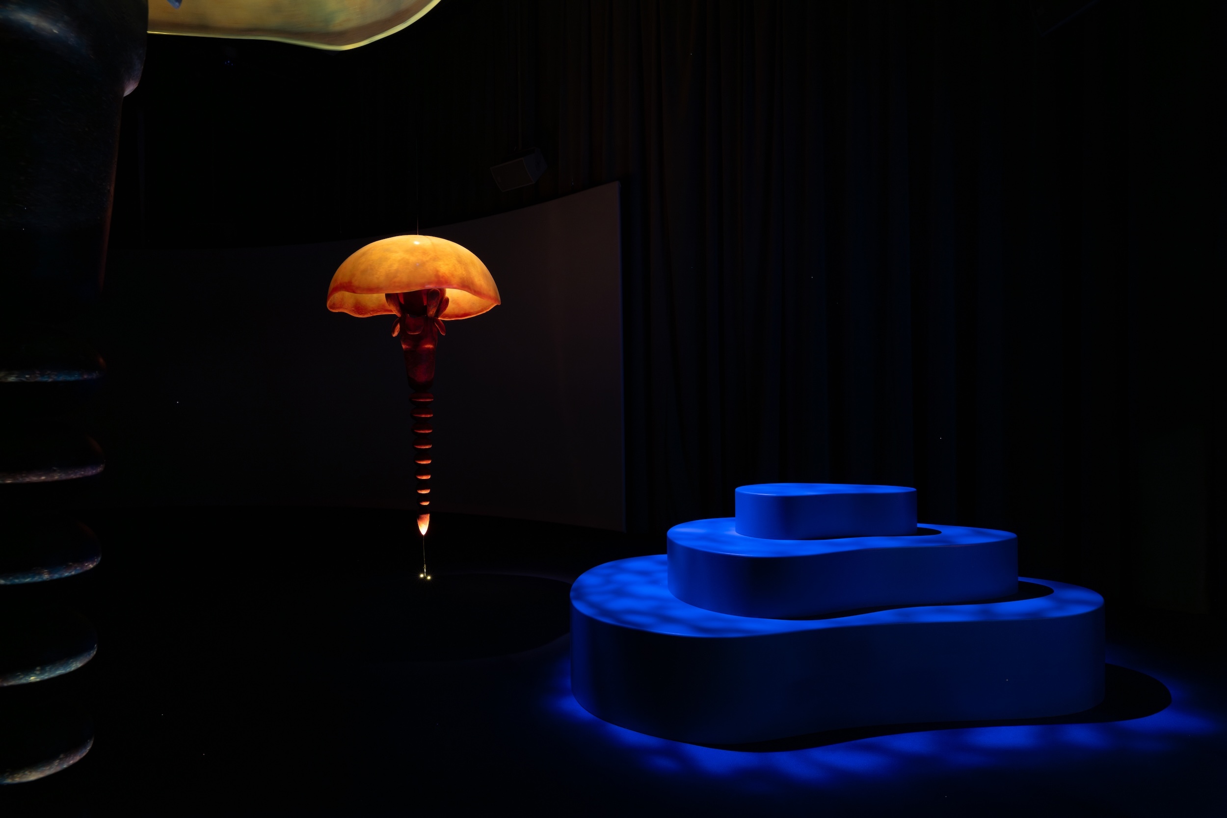 023 PHI Photo Michael Patten web