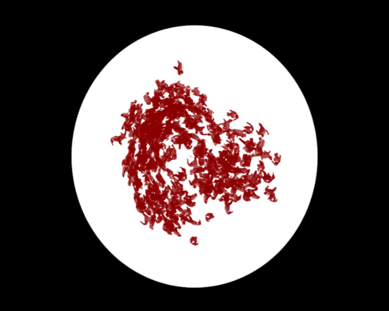 16 Shalechet Red In Circle 1280x1024