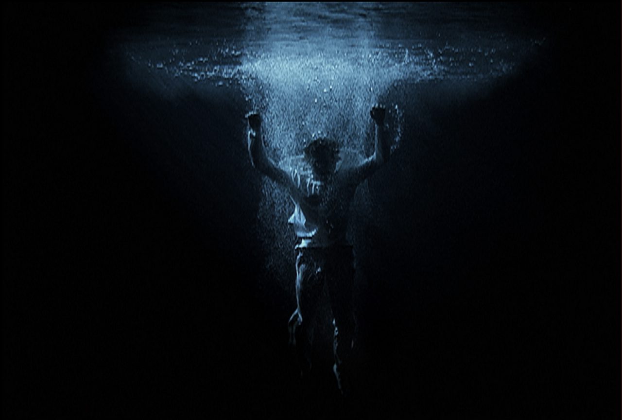 Billviola bg2 1280x864