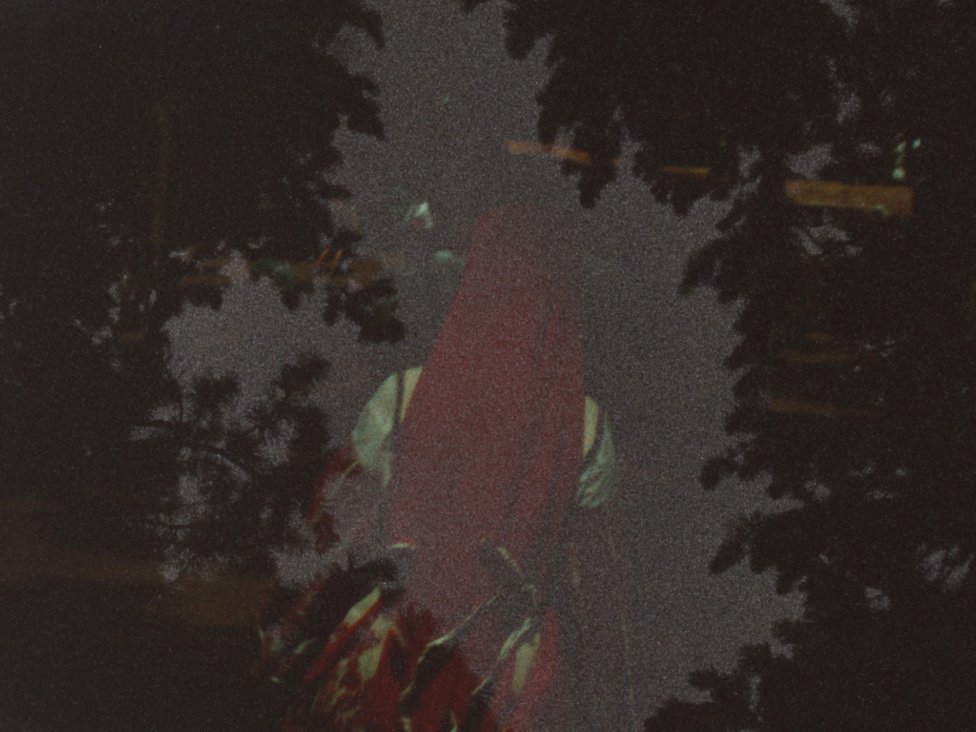 Let The Red Moon Burn Ralitsa Doncheva web