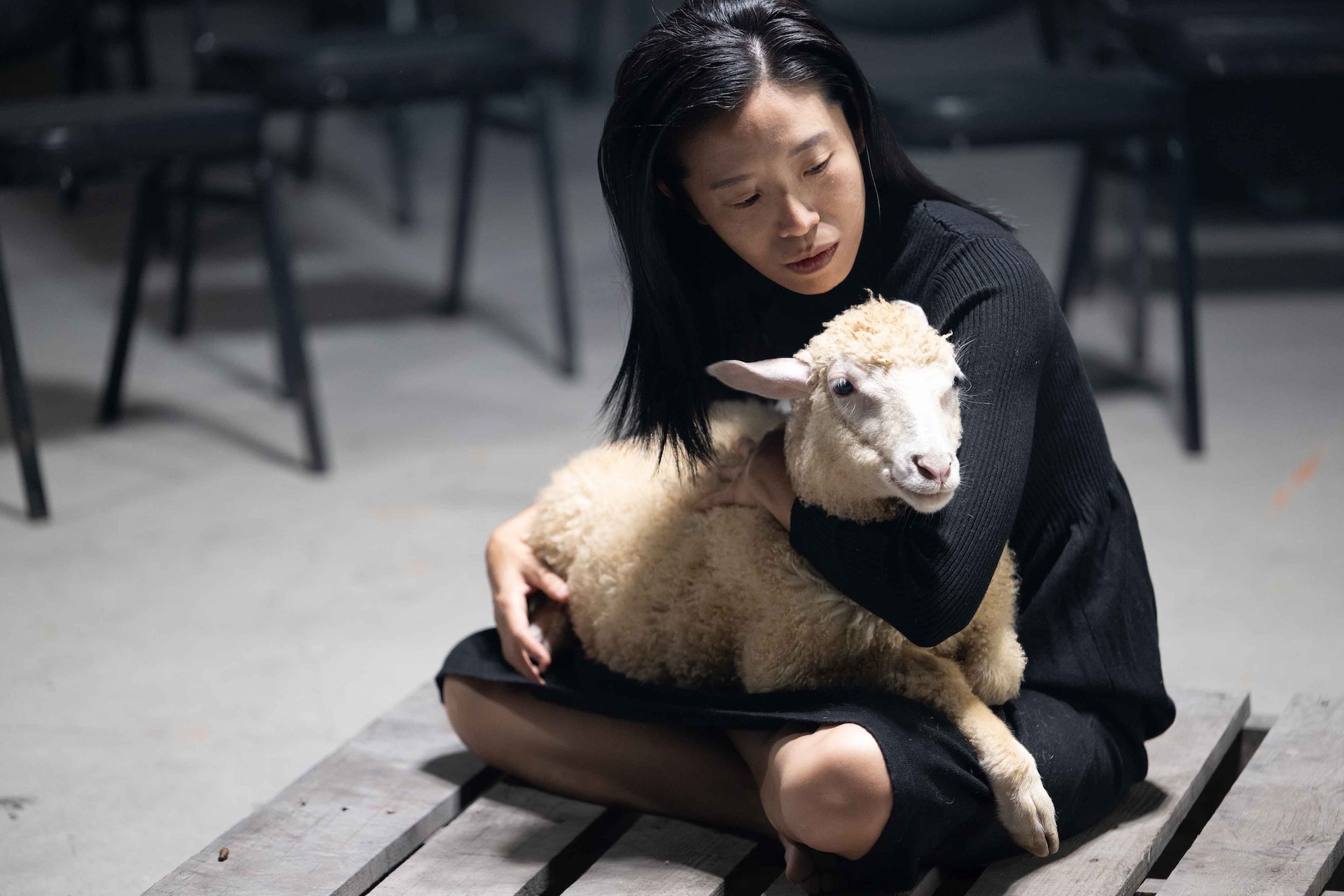 PHI Studio Projet Blur IMG5