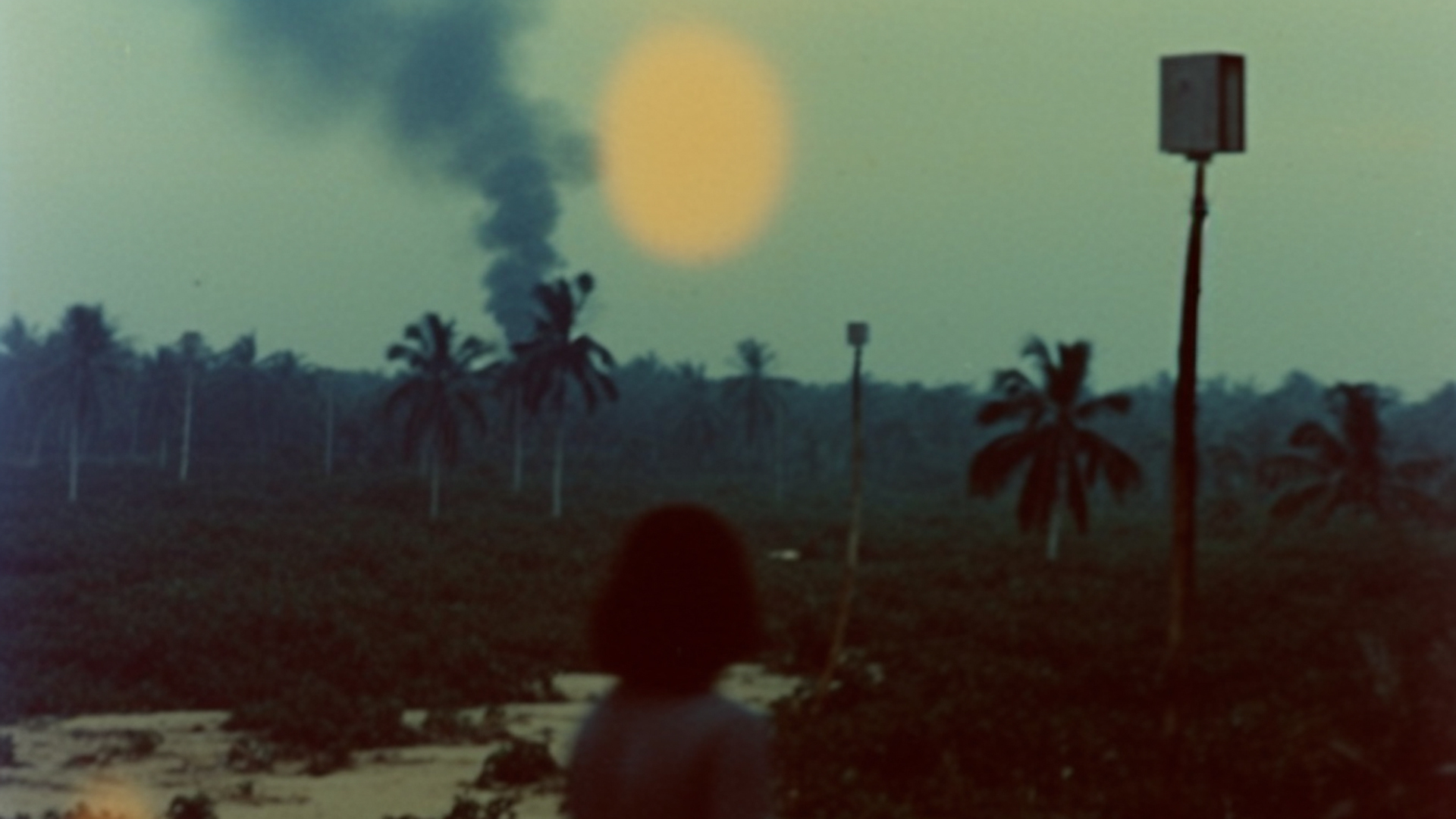 Emelinecourcer burnfromabsence bg