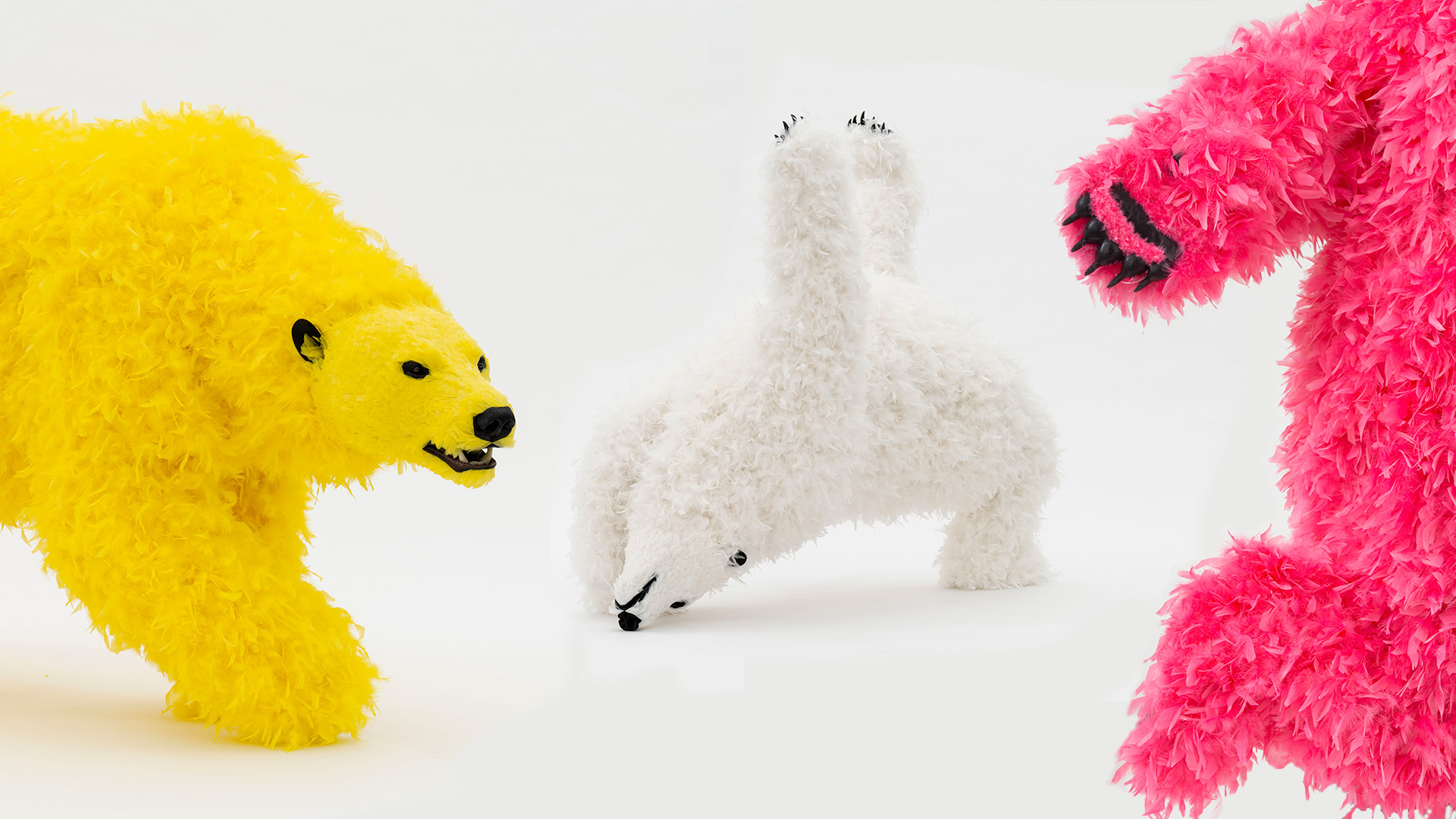 Paola pivi come check it out