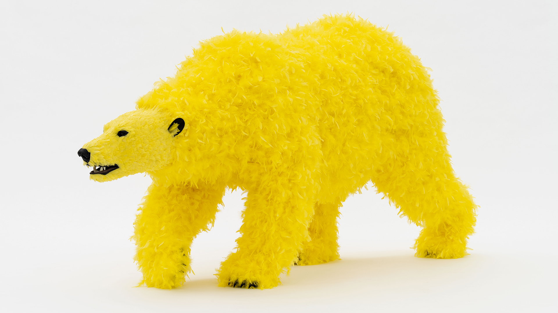 Paola pivi large bear